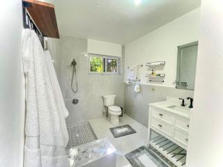 Serene Getaway-Newly renovated spacious 2 beds 2 baths - Montego Bay - 6