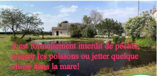 Gîte Chez Jeannot - Azay-le-Ferron - 8