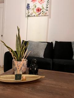 Apartamentos Trebol - 2
