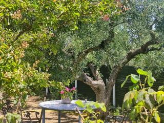 Katerina's Countryside and Sea House - Nea Irakleia - 8