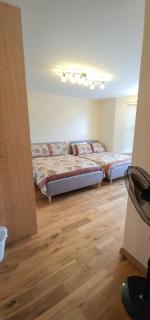 London Luxury 3 bedroom large apartment, aircon, free parking, station 4 mins walk - Ilford - 8