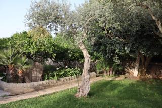 Sabbinirica Vacation House - 5