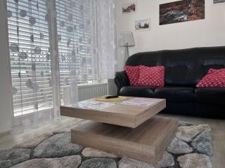 Horský apartmán Nový Javor - s možností využití wellness - Železná Ruda - 0