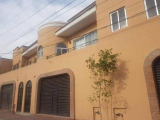Departamento Purisima Ubicacion Estrategica y Amplio Zona Alameda Cerca del Centro - San Francisco del Rincón - 7
