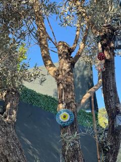 Villa sarniç - Fethiye - 6