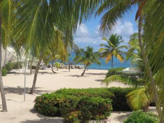 Saint Martin Villa on the beach - Baie Nettle - 9