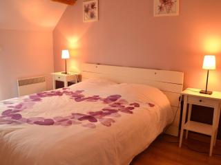 Beautiful holiday home with garden - Chilleurs-aux-Bois - 6