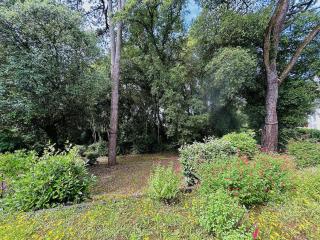 Studio lumineux proche plage, bois, marché - 4 pers, parking, animaux acceptés - FR-1-245-207 - Le Pouliguen - 2