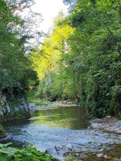 Apartman Stojanović Zlatibor - 1