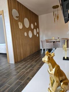 Apartman KING CENTAR - Vrnjačka Banja - 8