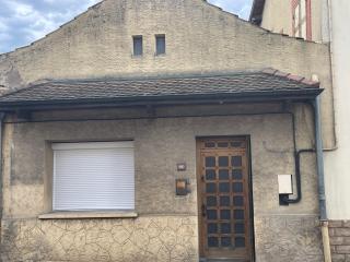 Le perroquet - Villars-les-Dombes - 3