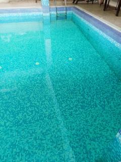 Hotel Royal Paradise ! New Digha - 8