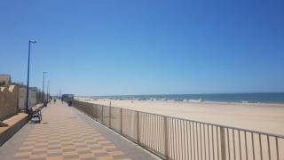Exclusive bungalow by the sea - Matalascañas - 0