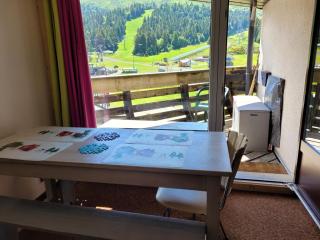 LE LIORAN appartement vue face à la montagne au pied des pistes - Laveissière - 8