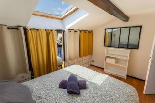 Roof Top in Center of Toulouse-Free Parking- - 8