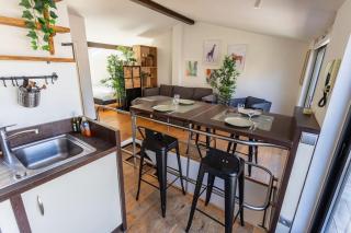 Roof Top in Center of Toulouse-Free Parking- - 5