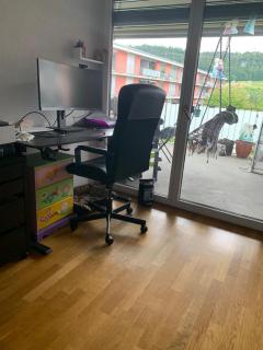 Rheinfelden Homestay - Rheinfelden - 2