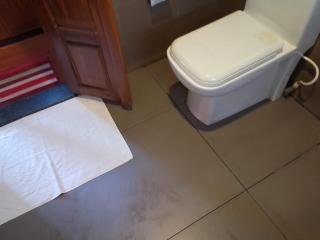 Sunbirds Premium House Boat at Alleppey Backwaters Kerala - 2