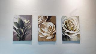 palazio 简约设计名宿双房 (mount austin) - 2