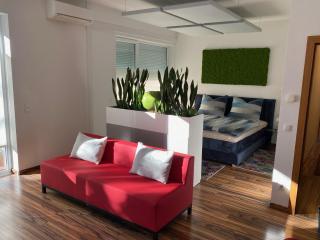 „1. SALZBURG work & sleep luxury apartment“ für arbeiten & wohnen ! - Salzburg - 7