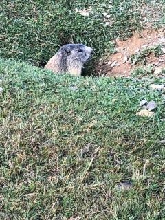 L'étoile des neiges Studio confort pour 4 personnes - 3