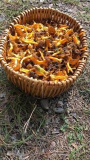 L'étoile des neiges Studio confort pour 4 personnes - 2