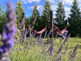 MAZURSKI SPLOT pokoje - 9