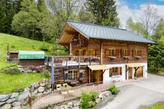 Chalet Tschengla - Bürserberg - 9