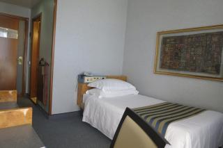 Enea Hotel Pomezia - Pomezia - 5