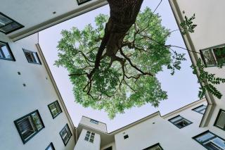 Hotel Westbahn - Vienne - 8