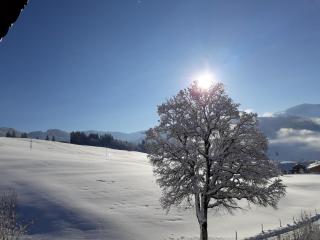 Lärchenhof - Maria Alm am Steinernen Meer - 6