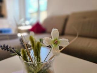 Strandvillen Binz - Ferienwohnung mit 1 Schlafzimmer und Balkon DR-422 - Binz - 8