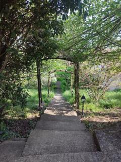 Studio Le Petit Rhodier - Saint-Cirice - 8