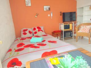 Studio Le Petit Rhodier - Saint-Cirice - 7