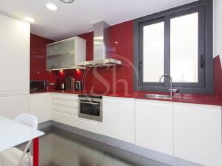 Paseo de Gracia Apartment - Barcelona - 4