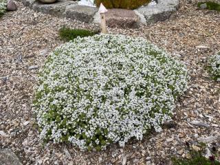 Ferienhaus Family and Friends am Knappensee - 6