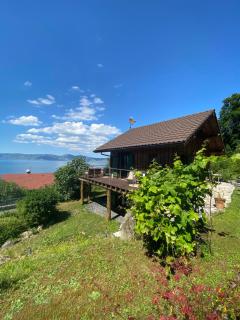 Le petit chalet des Greys - Meillerie - 0