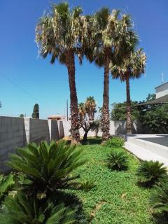 Casa Vacanze da Vita e Filippo - Marsala - 8