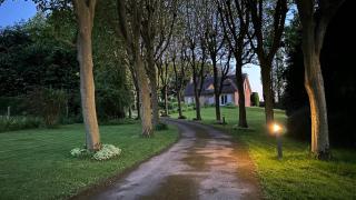 Cottage de Flesselles - - 7
