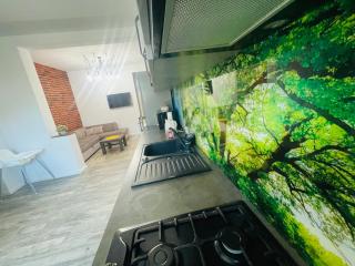 Apartament Anastasia 1 - Sibiu - 4
