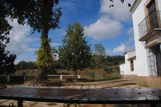 Cortijo San Rafael - Constantina - 9