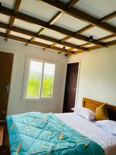 Hill View 'A'Frame Villa Wayanad - 6