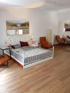 New Spacious Villa! - Bucarest - 5