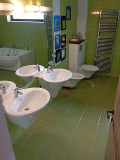 New Spacious Villa! - Bucarest - 3