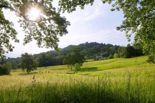 The Music Country House un'oasi di benessere tra Asolo e le colline del Prosecco - 1