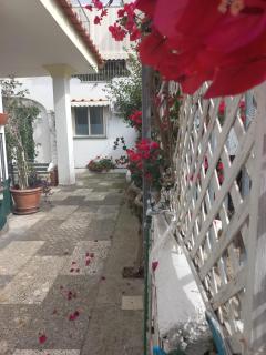 B&B Raggi d'Ischia - Ischia - 3