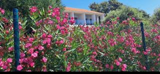 House on the beach - Lun - 9