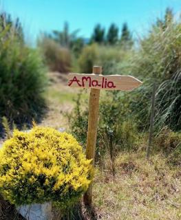 Amália Beach Quinta! 5 Min Coast! Shared Outdoors - Zambujeira do Mar - 9