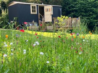 annes hatch hut -  - 9