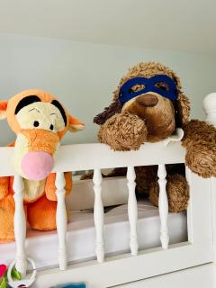 Twin Cottage, New Forest National Park - Burley - 1